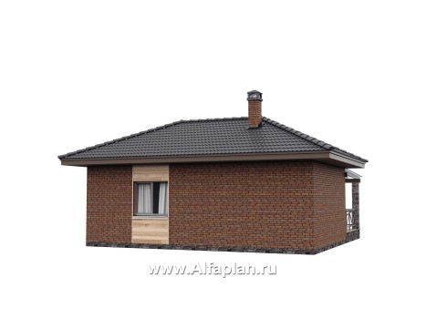 Проект гостевого дома с одной спальней или с сауной, с террасой - превью дополнительного изображения №4