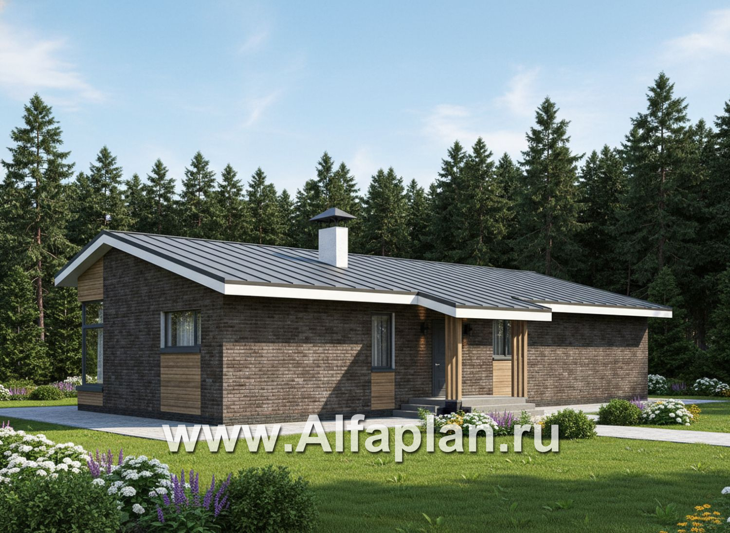 «Алладин» - проект одноэтажного дома, мастер спальня, с террасой и красивым потолком гостиной со стропилами - дизайн дома №3